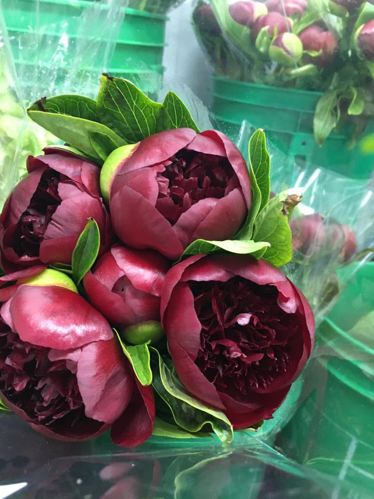 HAND TIED BRIDAL BOUQUETS-GB0213