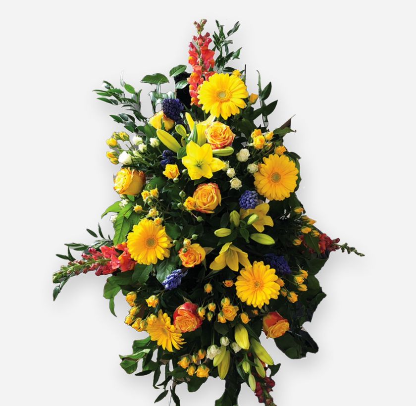 Standing Spray-GAB001S